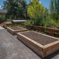 Thumbnail of http://Raised%20garden%20bed%20with%20plants%20behind.