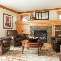 After_Interior_Living Room_Fireplace Ideas_Brown PArk Expansion II