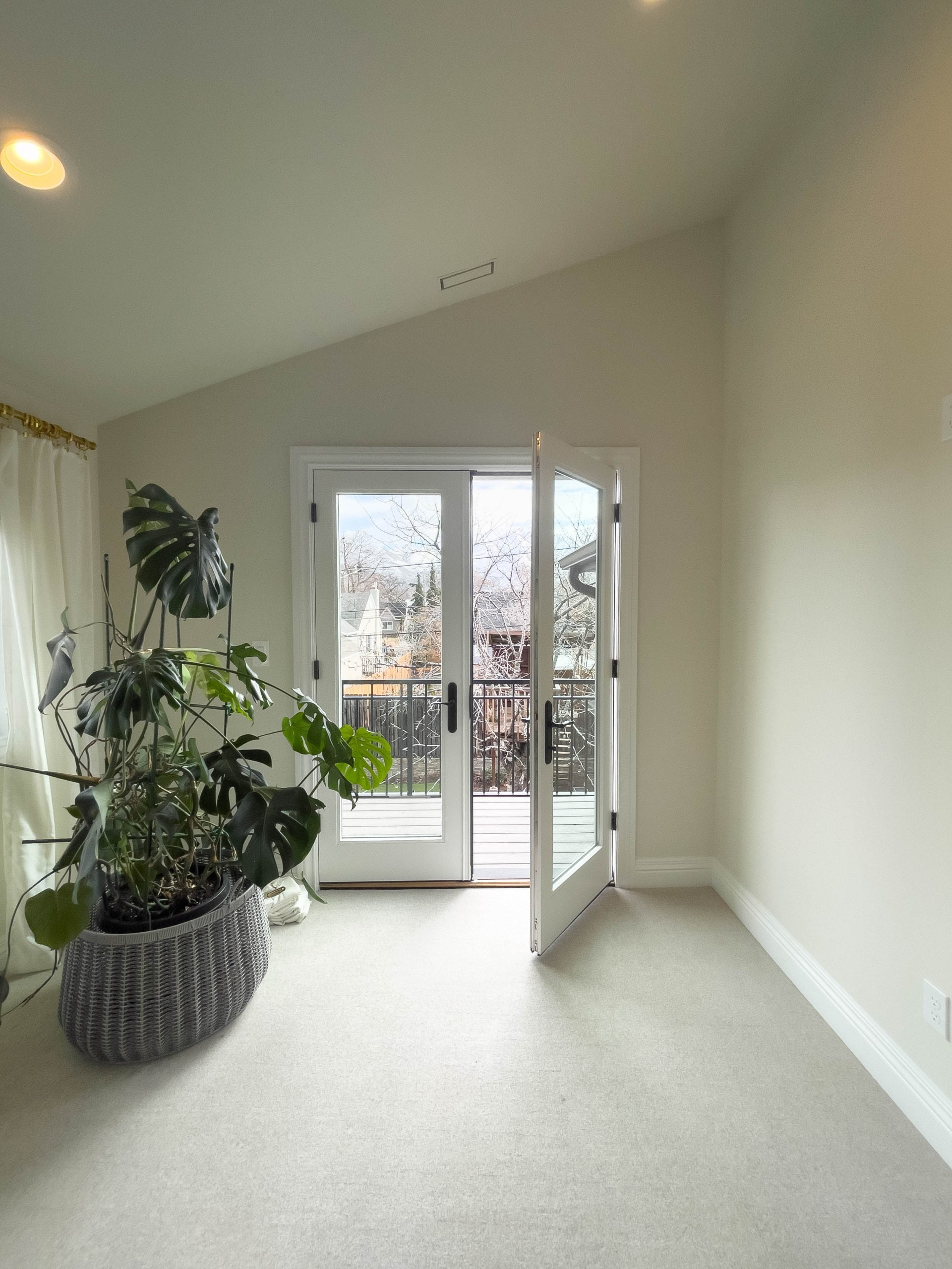 Loft with large plant and doors to the balcony