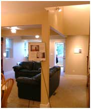 Natural Light Living Room | Renovation Design Group