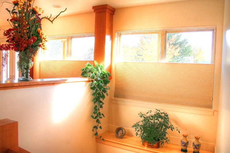 Living Room Windows with natural light and bench Storage bench Seating Entrance | Renovation Design Group