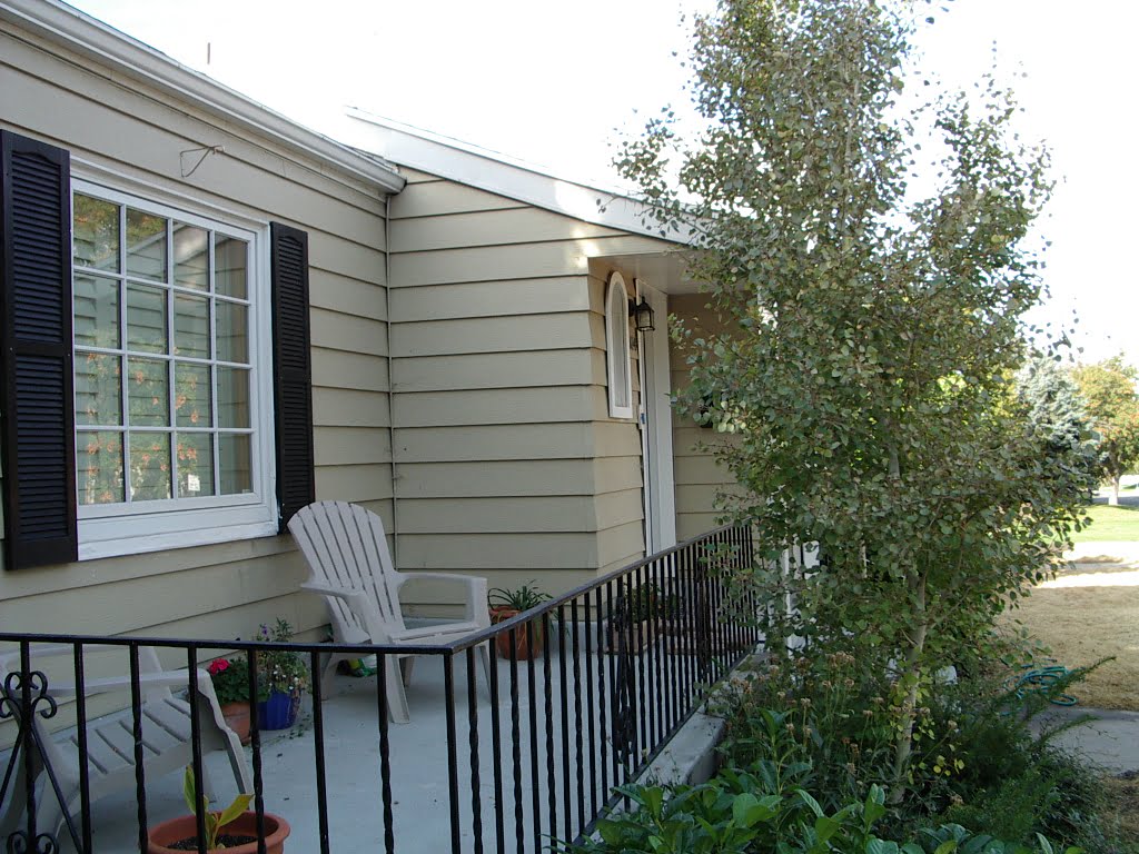 Before Renovation Porch | Renovation Design Group