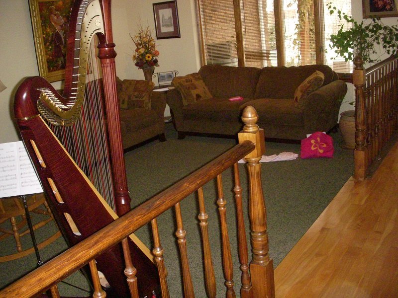 Before Music Room Remodel | Renovation Design Group