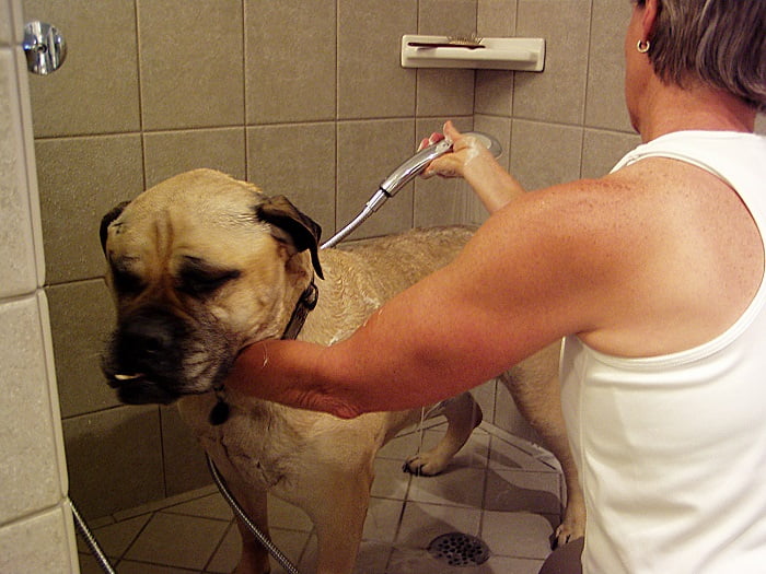 Dog Shower in Custom Mudroom | Renovation Design Group