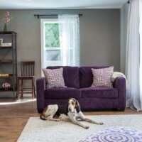 Thumbnail of http://After_Interior_Living%20Room_Contemporary%20Design%20and%20Style%20|%20Renovation%20Design%20Group