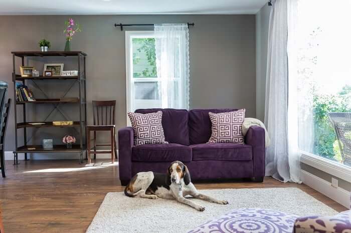 After_Interior_Living Room_Contemporary Design and Style | Renovation Design Group