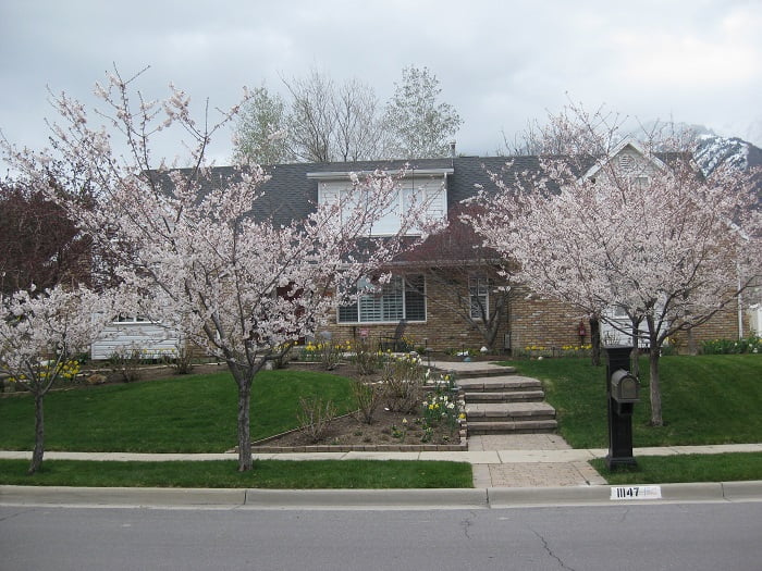 Justin Park Expansion Before front exterior remodel | Renovation Design Group