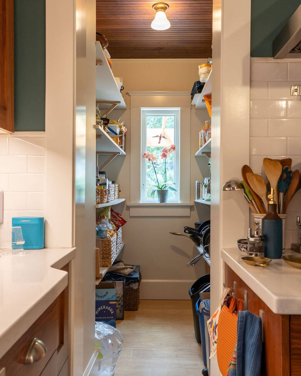 Large walk-in pantry with a window straight ahead.