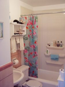 Before Bathroom remodel | Renovation Design Group