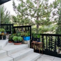 Thumbnail of http://Metal%20railing%20design%20with%20tree%20cut%20outs.%20In%20front%20of%20the%20railing%20are%20a%20few%20plants%20and%20a%20concrete%20patio.