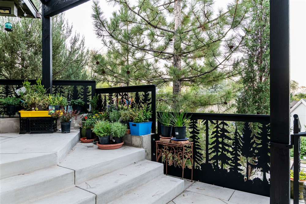 Metal railing design with tree cut outs. In front of the railing are a few plants and a concrete patio.