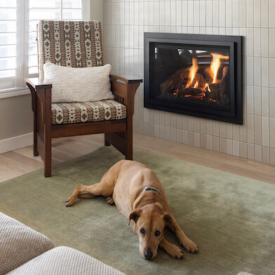 Dog laying in front of the living room fireplace.
