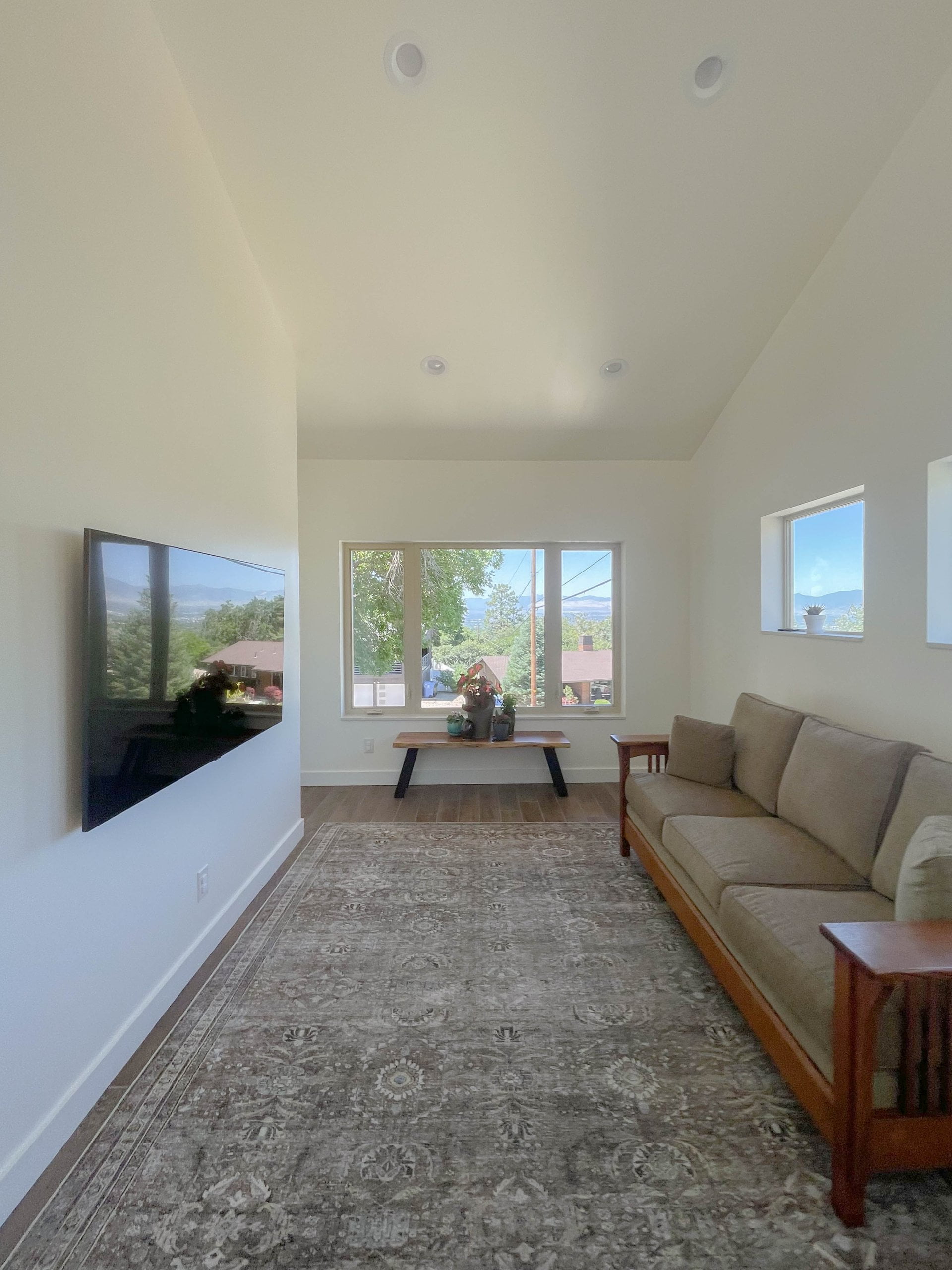 Area rug with a couch facing toward the TV. In front of the windows is a bench with plants.